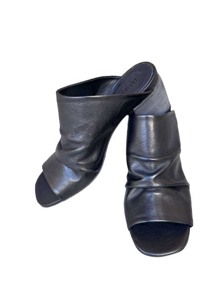 Ducanero, salice nero